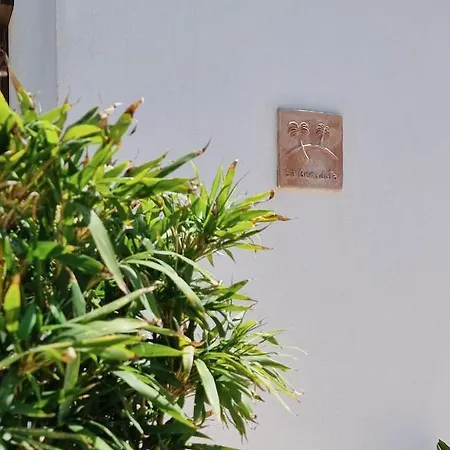 Hébergement de vacances Eco Finca Sa Becadeta