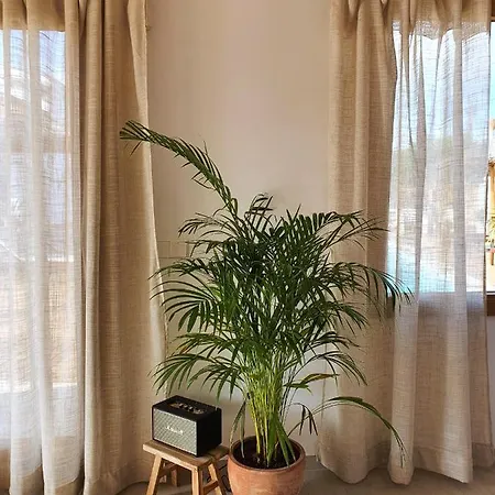 Eco Finca Sa Becadeta * Llucmajor (Mallorca)